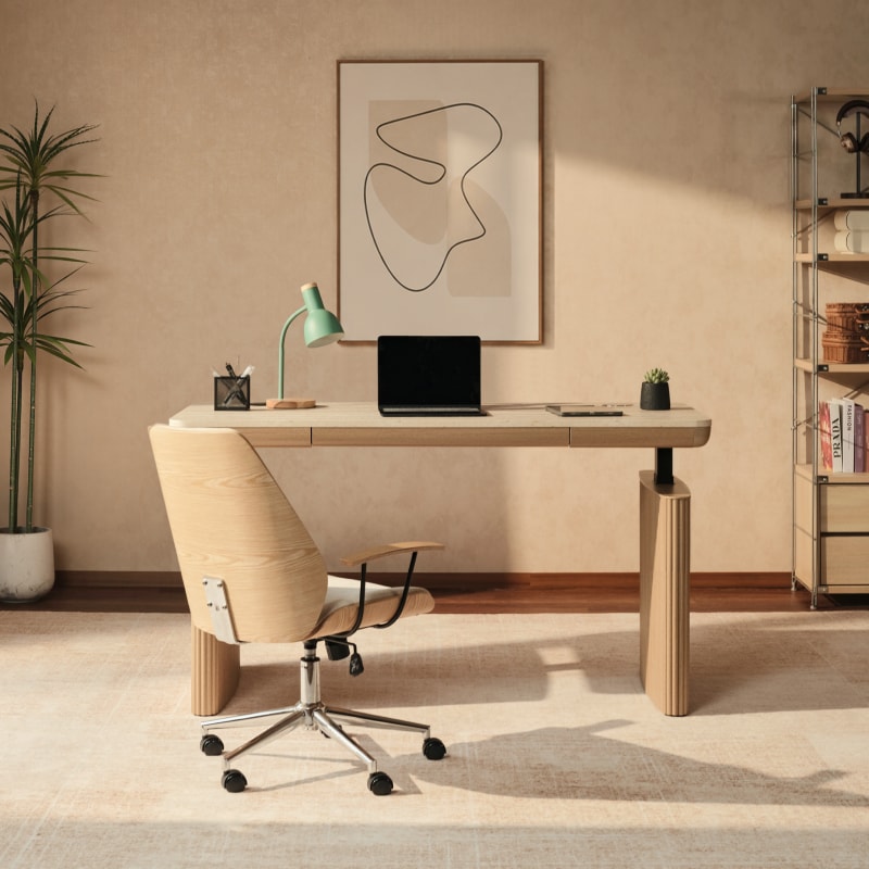 Modern Electric Sit-Stand Desk with Storage | FlexiSpot